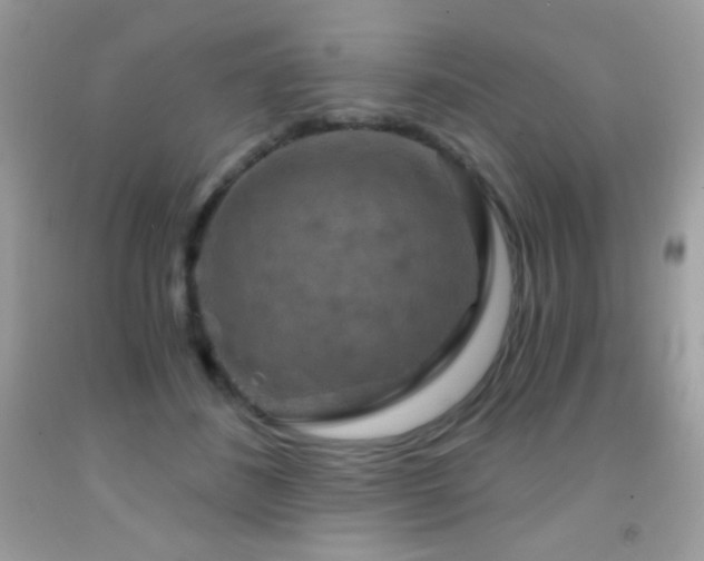 X0000091850508200709051149