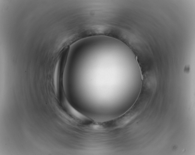 X0000091850509200709051149