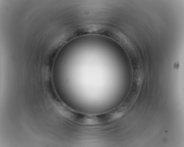 X0000091850510200709051149