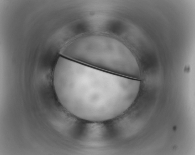 X0000091850511200709051149