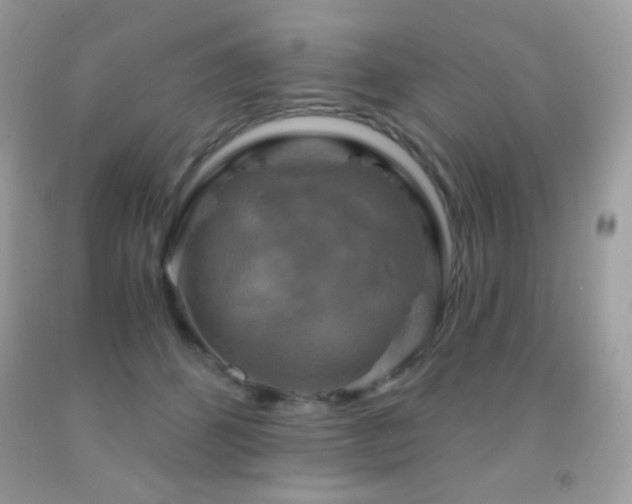 X0000091850512200709051149