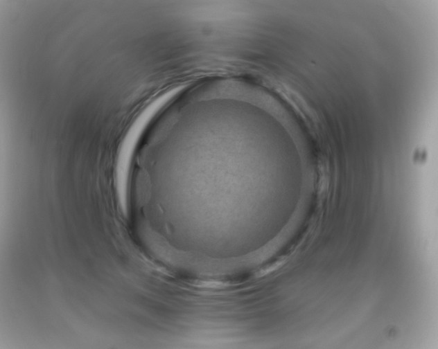 X0000091850513200709051149