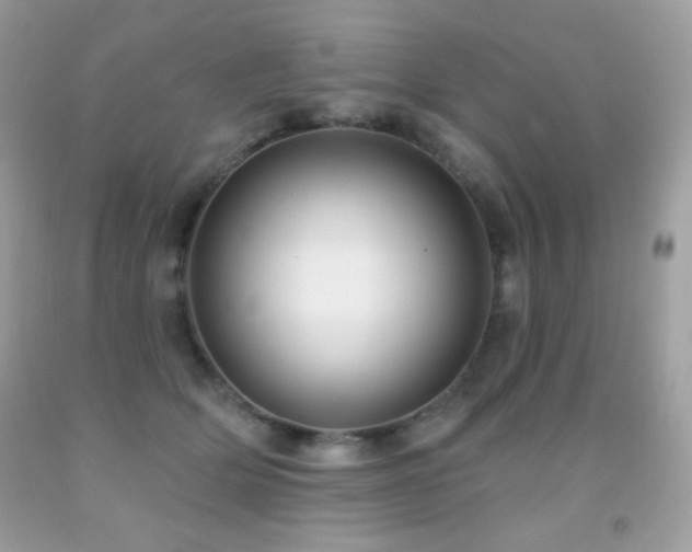 X0000091850514200709051149