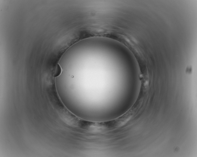 X0000091850515200709051149