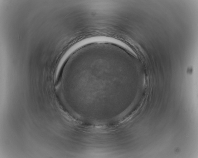 X0000091850517200709051149