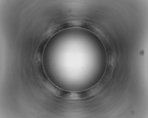 X0000091850518200709051149