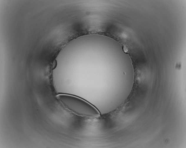 X0000091850519200709051149