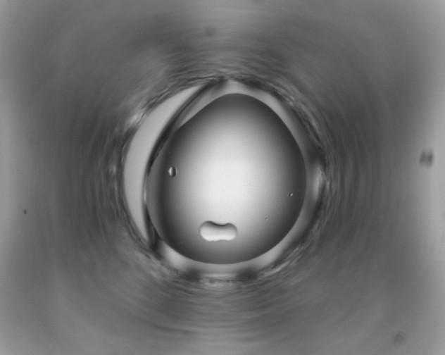 X0000091850520200709051149