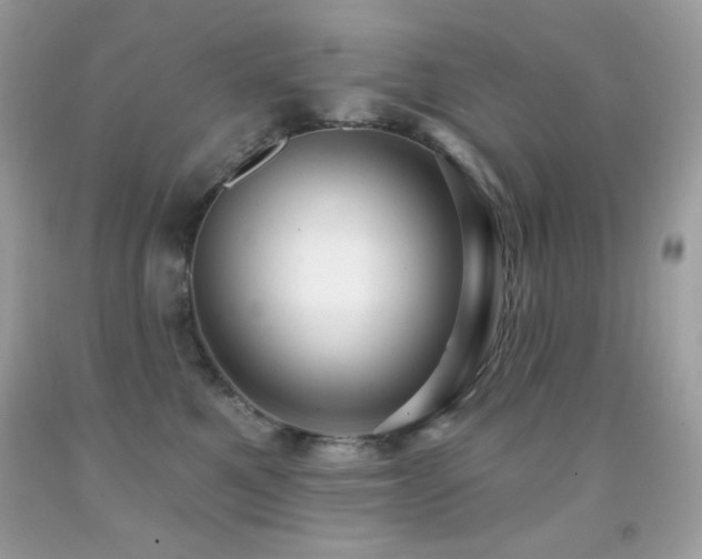 X0000091850521200709051149
