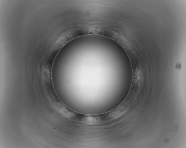 X0000091850522200709051149