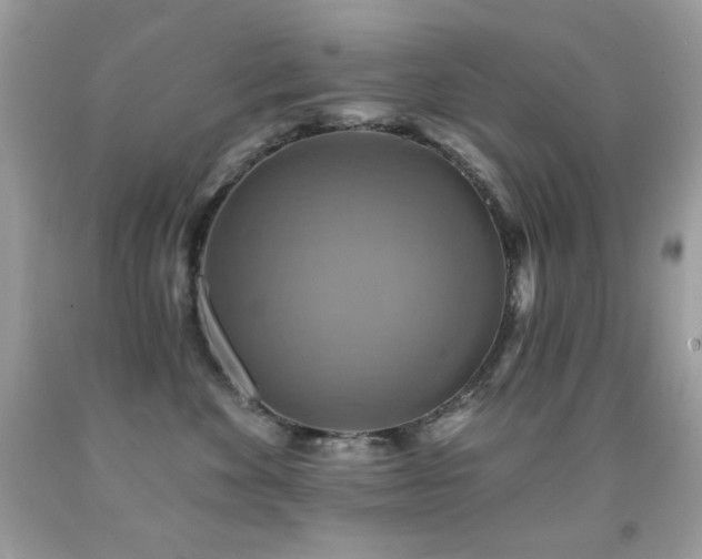 X0000091850524200709051149