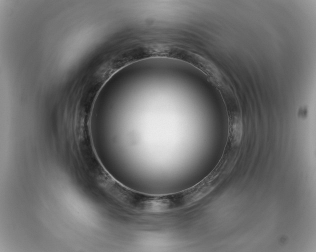 X0000091850525200709051149