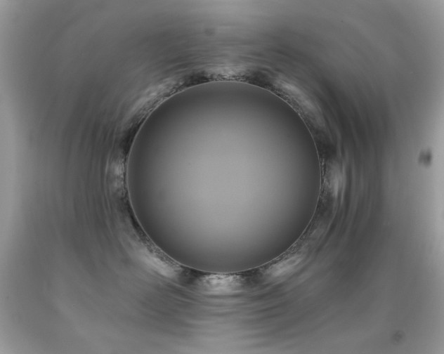 X0000091850526200709051149