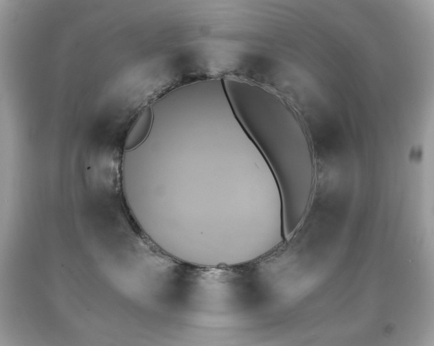 X0000091850527200709051149
