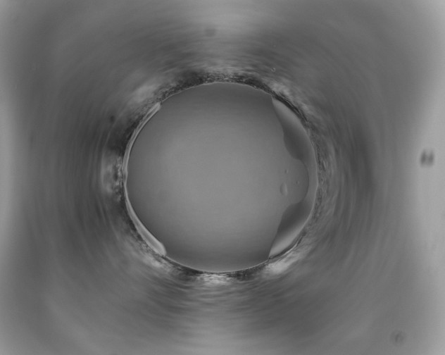 X0000091850528200709051149