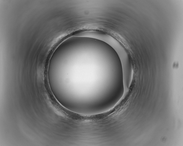 X0000091850530200709051148