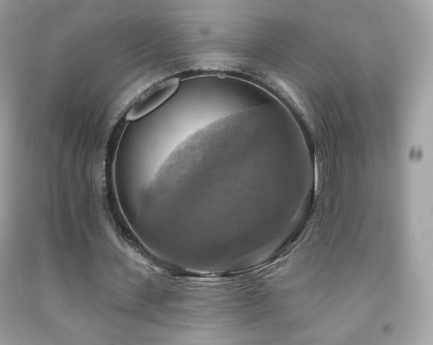 X0000091850531200709051148