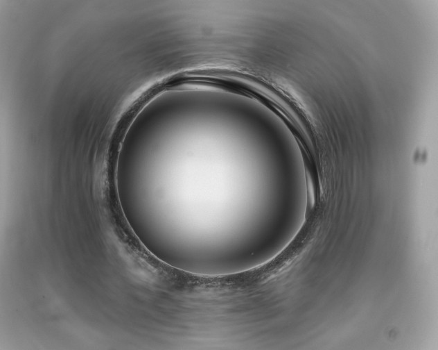 X0000091850532200709051148