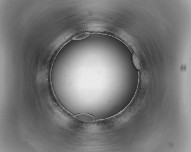 X0000091850533200709051148
