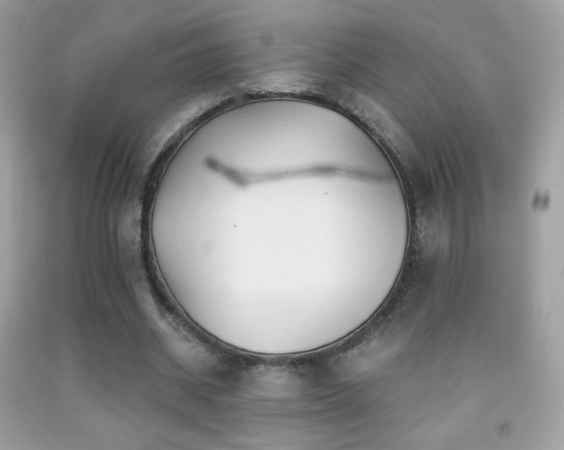X0000091850534200709051148