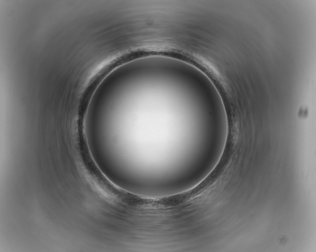 X0000091850535200709051148