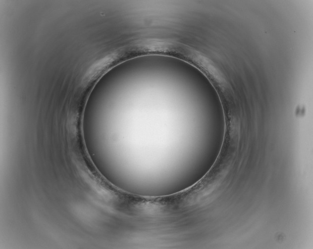 X0000091850537200709051148