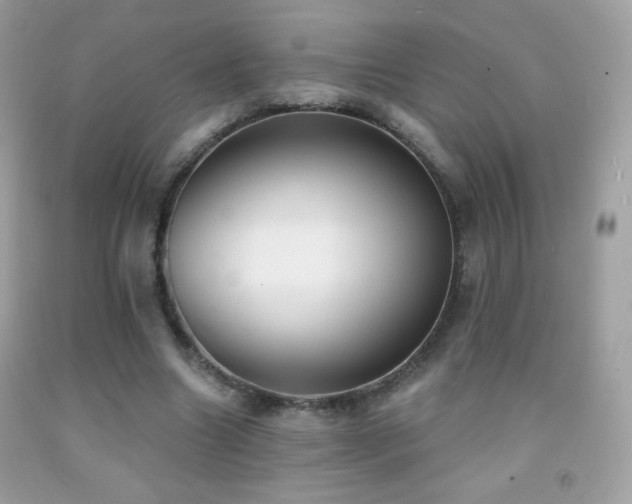 X0000091850538200709051148
