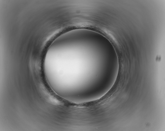 X0000091850539200709051148
