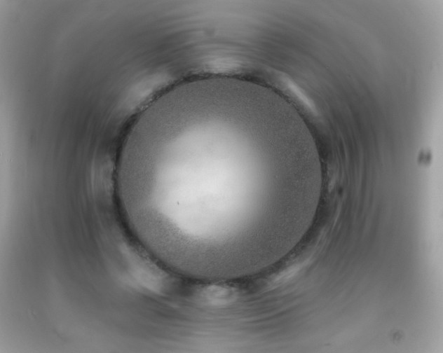 X0000091850542200709051148