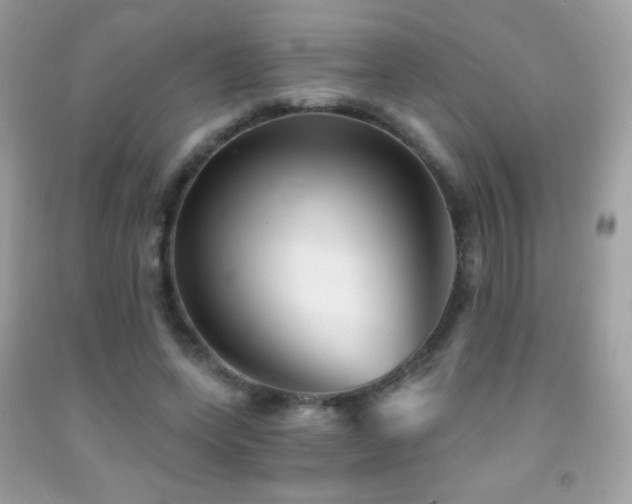 X0000091850543200709051148