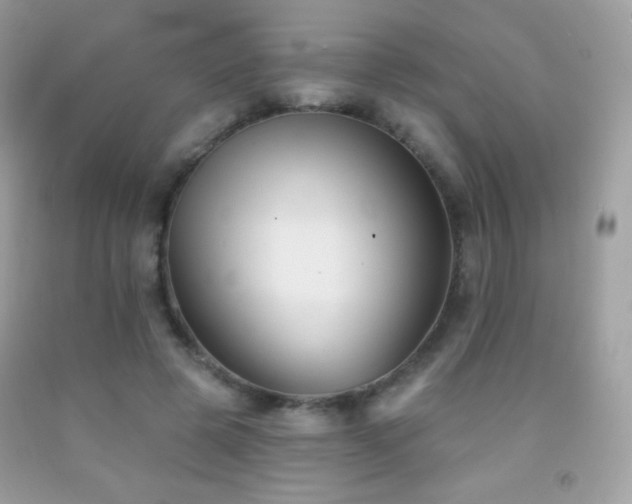 X0000091850545200709051148