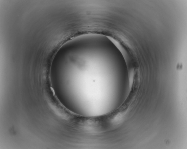 X0000091850546200709051148