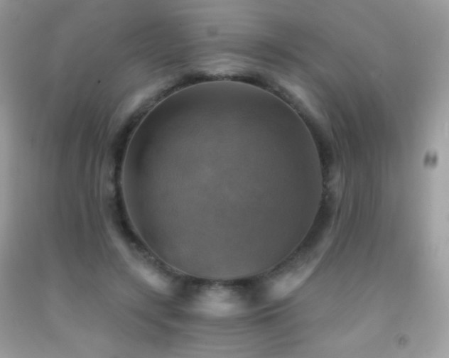 X0000091850547200709051148