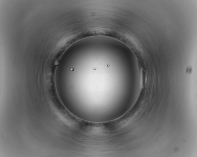 X0000091850548200709051148