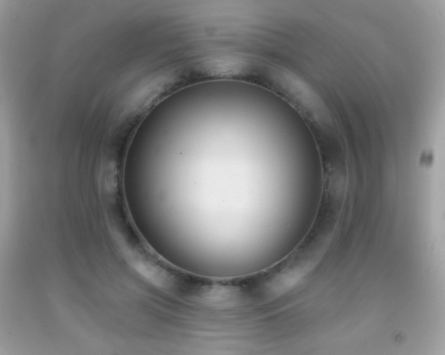 X0000091850549200709051148