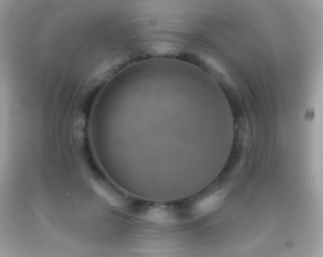 X0000091850550200709051148