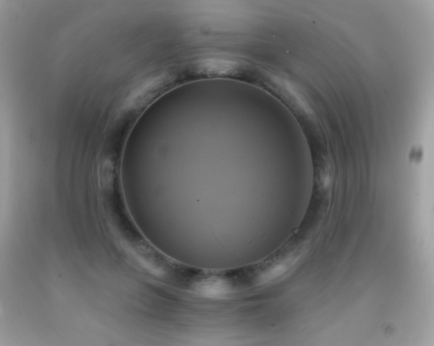 X0000091850551200709051148