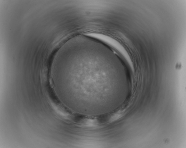 X0000091850552200709051148