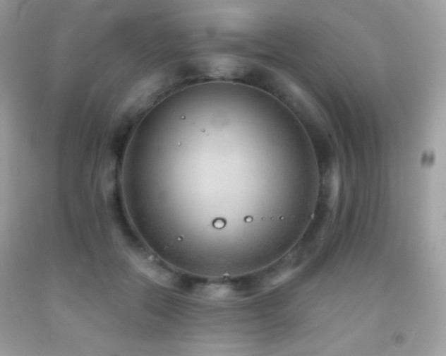 X0000091850554200709051148