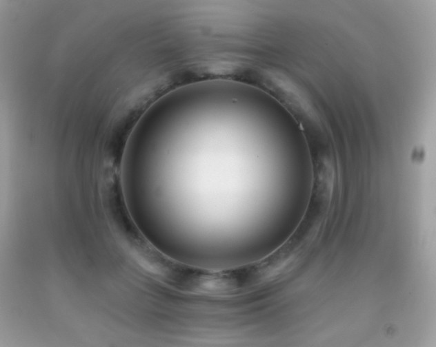 X0000091850555200709051148