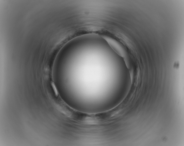 X0000091850556200709051148