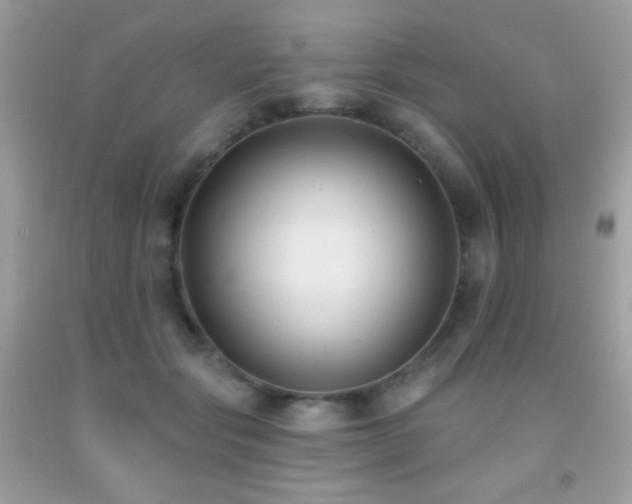 X0000091850557200709051148