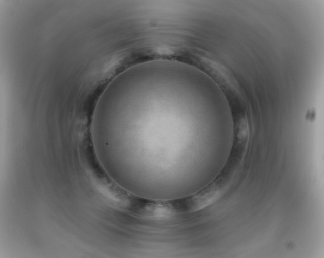 X0000091850559200709051148