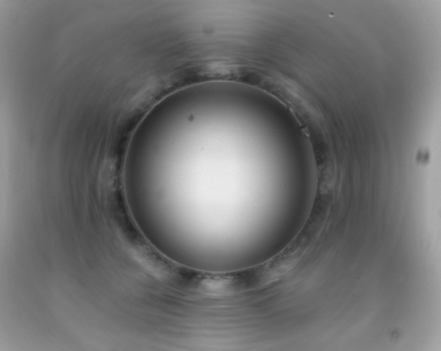 X0000091850560200709051148