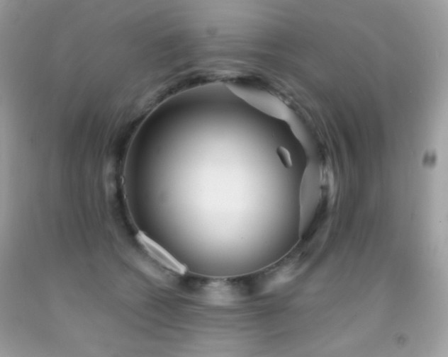 X0000091850562200709051148