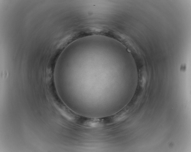 X0000091850563200709051148