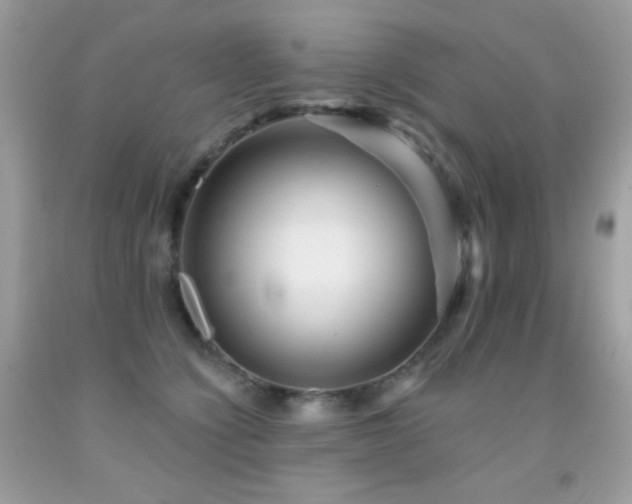 X0000091850564200709051148