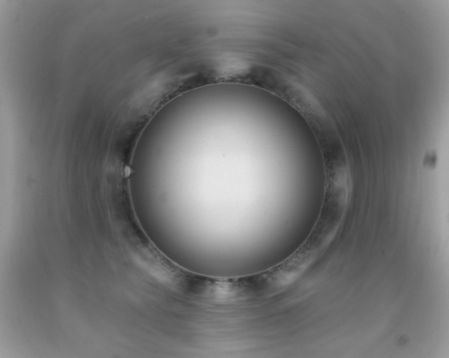 X0000091850565200709051148