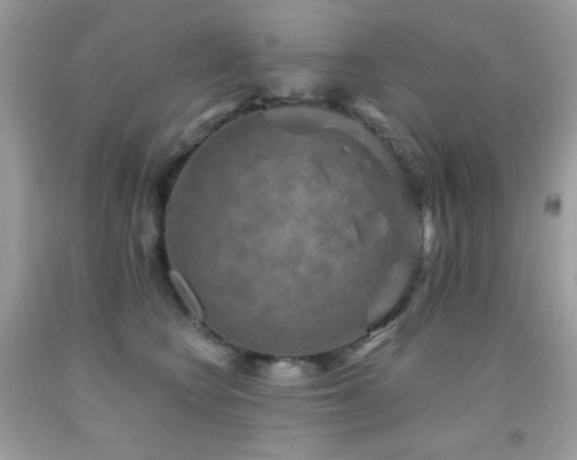 X0000091850566200709051148