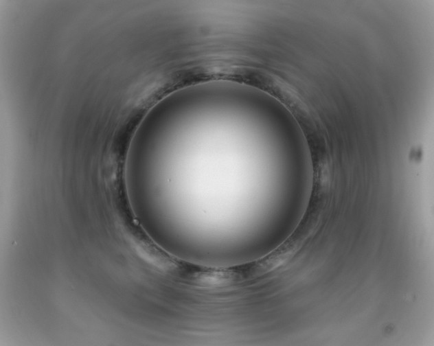 X0000091850567200709051148
